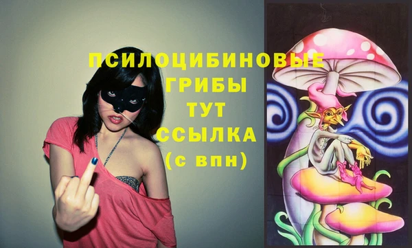 эйфоретик Верея