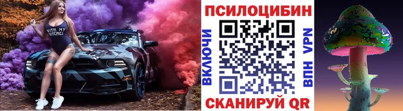 Псилоцибиновые грибы Cubensis  Купить закладки  Североморск 